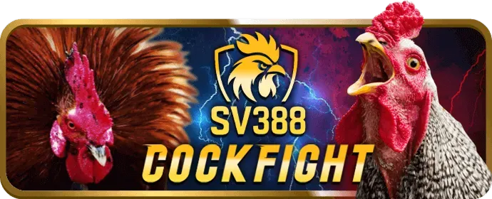 Chương trình VIP Fun88 App